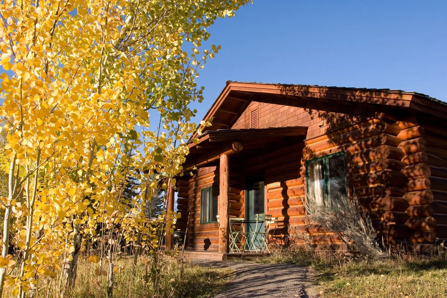 Carbondale Property Management